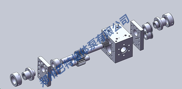 熔體泵結(jié)構(gòu)圖